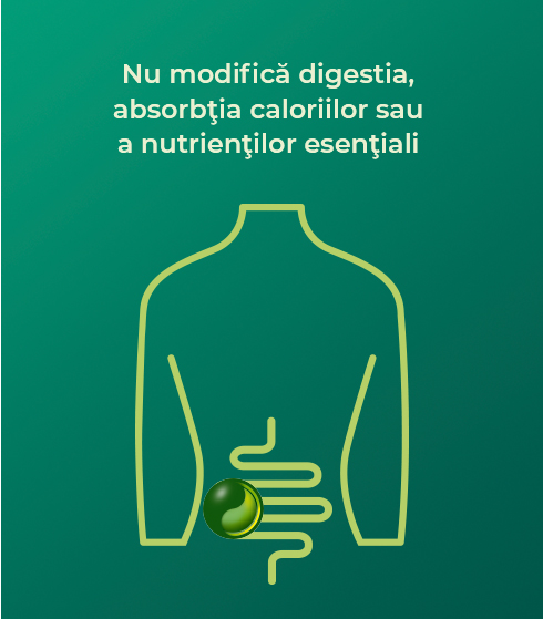 Nu modifică digestia, absorbţia caloriilor sau a nutrienţilor esenţiali