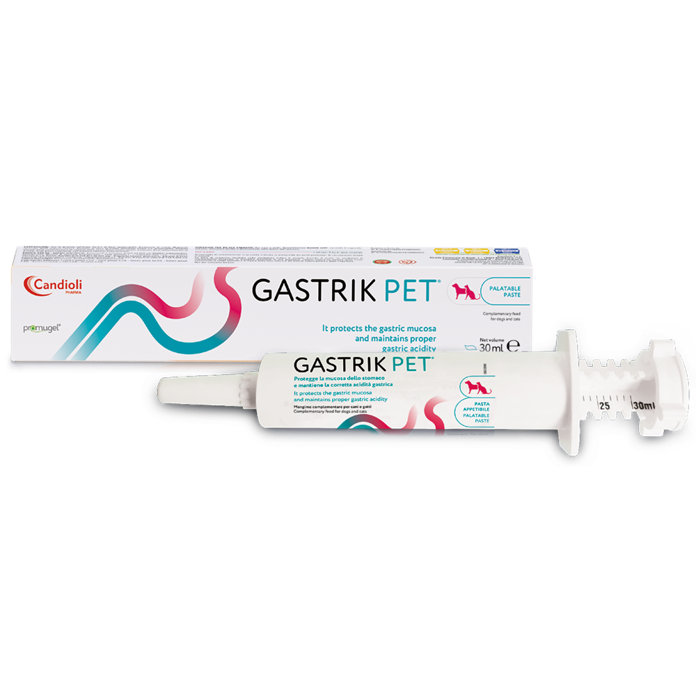 Pasta Gastrik Pet, 15 ml, Candioli Pharma