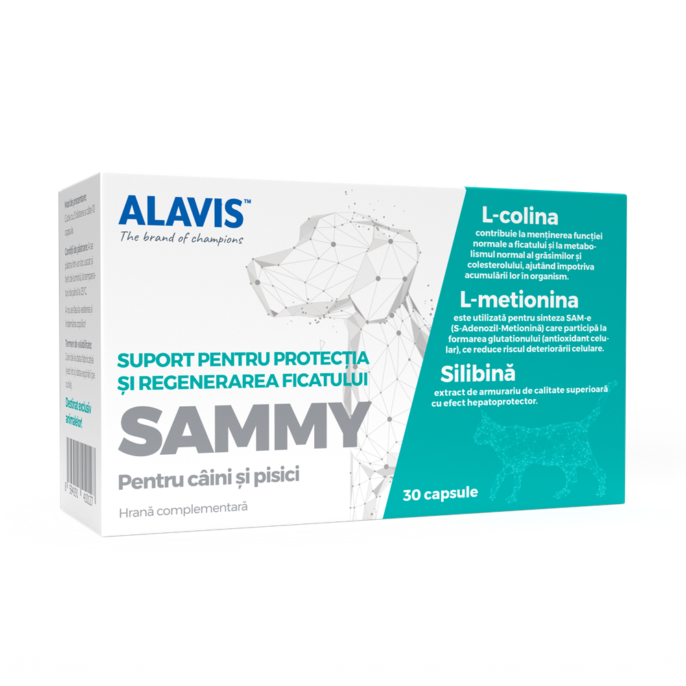 Prospect Suplimente pentru caini si pisici Sammy, 30 capsul : Farmacia ...