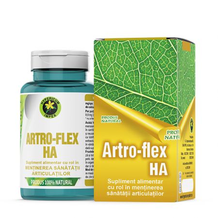 Artro Flex HA Matrxsan, 60 capsule - Hypericum
