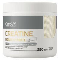 creatina-monohidrata-creapure-cu-aroma-de-cole-si-rom-250-g-ostrovit-1768.jpg