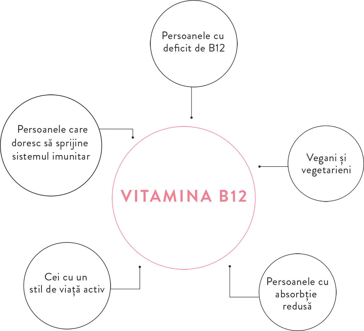 MOY vitamina B12