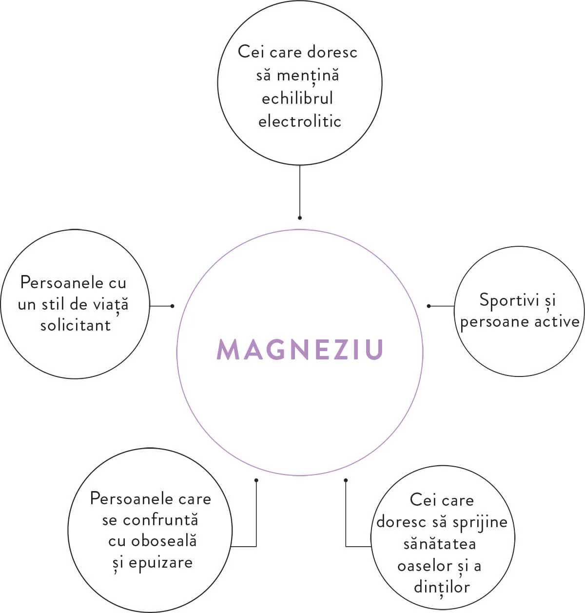 MOY COMPLETE MAGNEZIUM FORMULA
