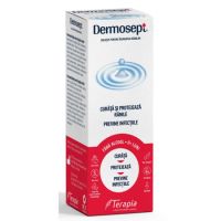 spray-pentru-ingrijirea-ranilor-dermosept-1000-ml-terapia-sa-2718.jpg