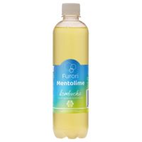 kombucha-cu-aroma-de-menta-si-lamaie-mentolime-500-ml-furori-195.jpg