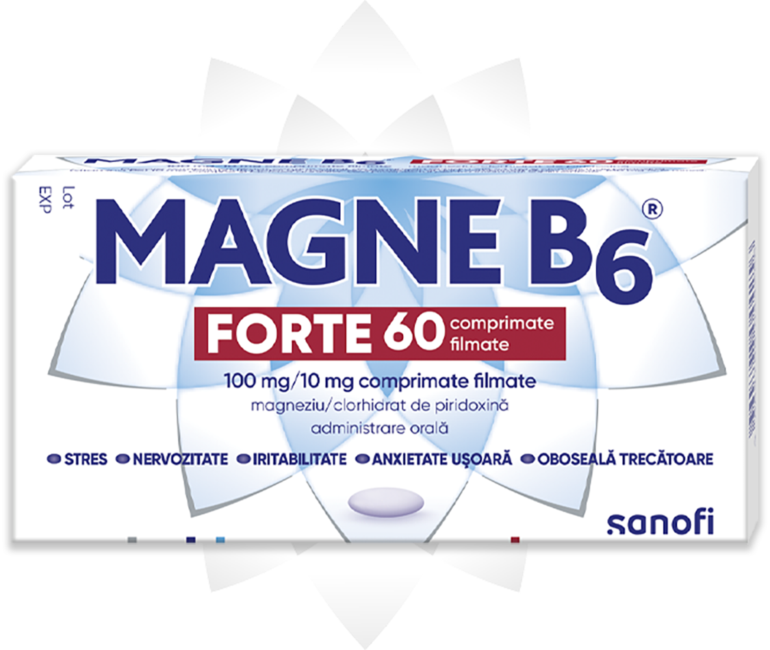MAGNE B6 Forte Package