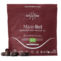 extract-din-reishi-mico-rei-60-capsule-hifas-da-terra-5937.png