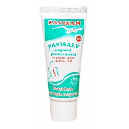 Unuguent pentru masaj Favisalv, 40 ml, Favisan