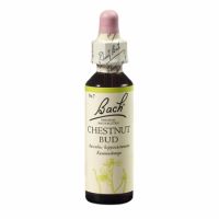 Remediu floral picaturi castan salbatic mugure Chestnut Bud Original Bach, 20 ml, Rescue Remedy