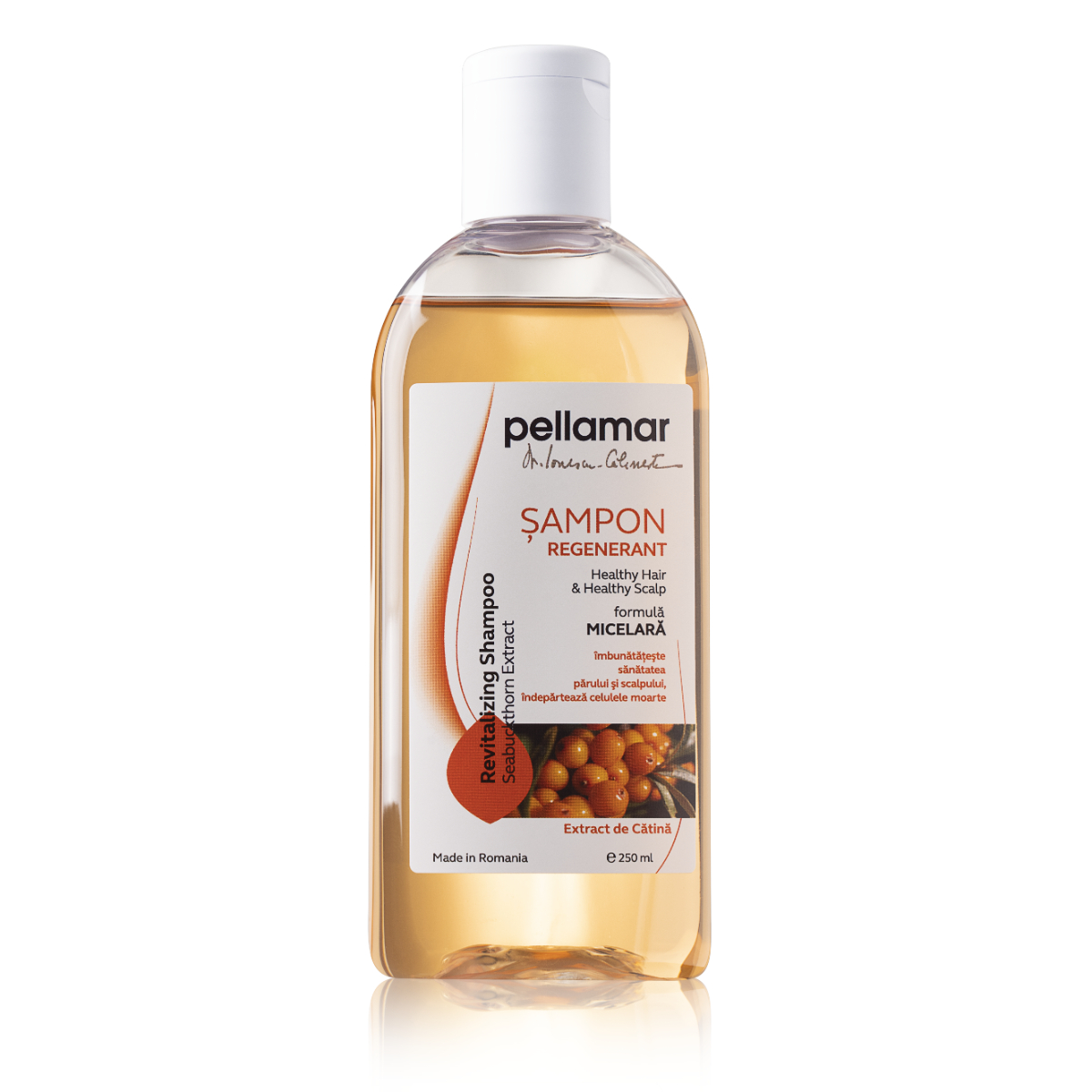 Sampon regenerant cu extract de catina Beauty Hair, 250 ml, Pellamar
