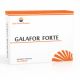 Galafor Forte, 30 capsule, Sun Wave Pharma 518239