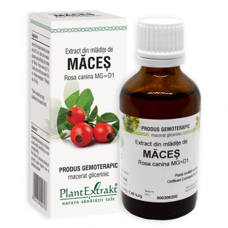 Extract din mladite de Maces, 50 ml - Plant Extract