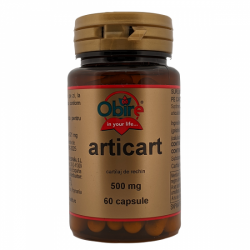 Articart, 60 capsule, Obire