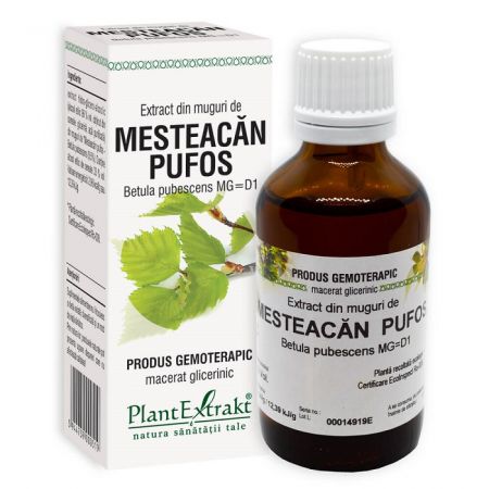 Extract din muguri de Mesteacan Pufos, 50 ml - Plant Extrakt