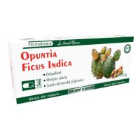 opuntia-ficus-indica-30-capsule-pro-natura-5621.jpg