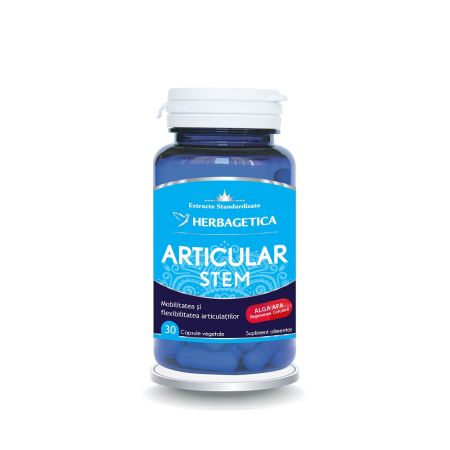 Articular Stem, 30 capsule, Herbagetica