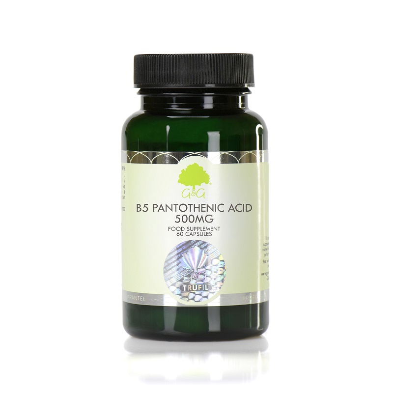 Vitamina B5 Acid Pantotenic, 500 mg, 60 capsule, G&G