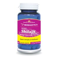 shilajit-mumio-60-capsule-herbagetica-1554.jpg