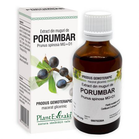 Extract din muguri de Porumbar, 50 ml - Plant Extrakt
