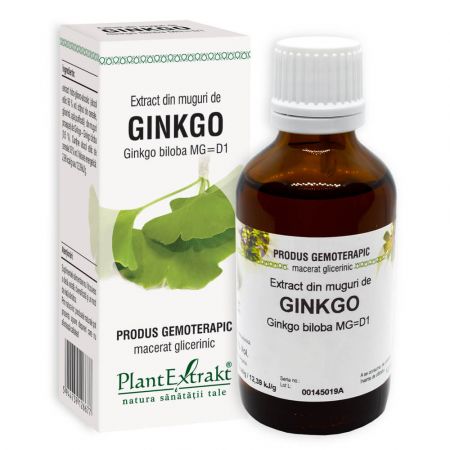 Extract din muguri de Ginkgo Biloba, 50 ml - Plant Extrakt