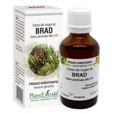 Extract din muguri de Brad, 50 ml - Plant Extrakt