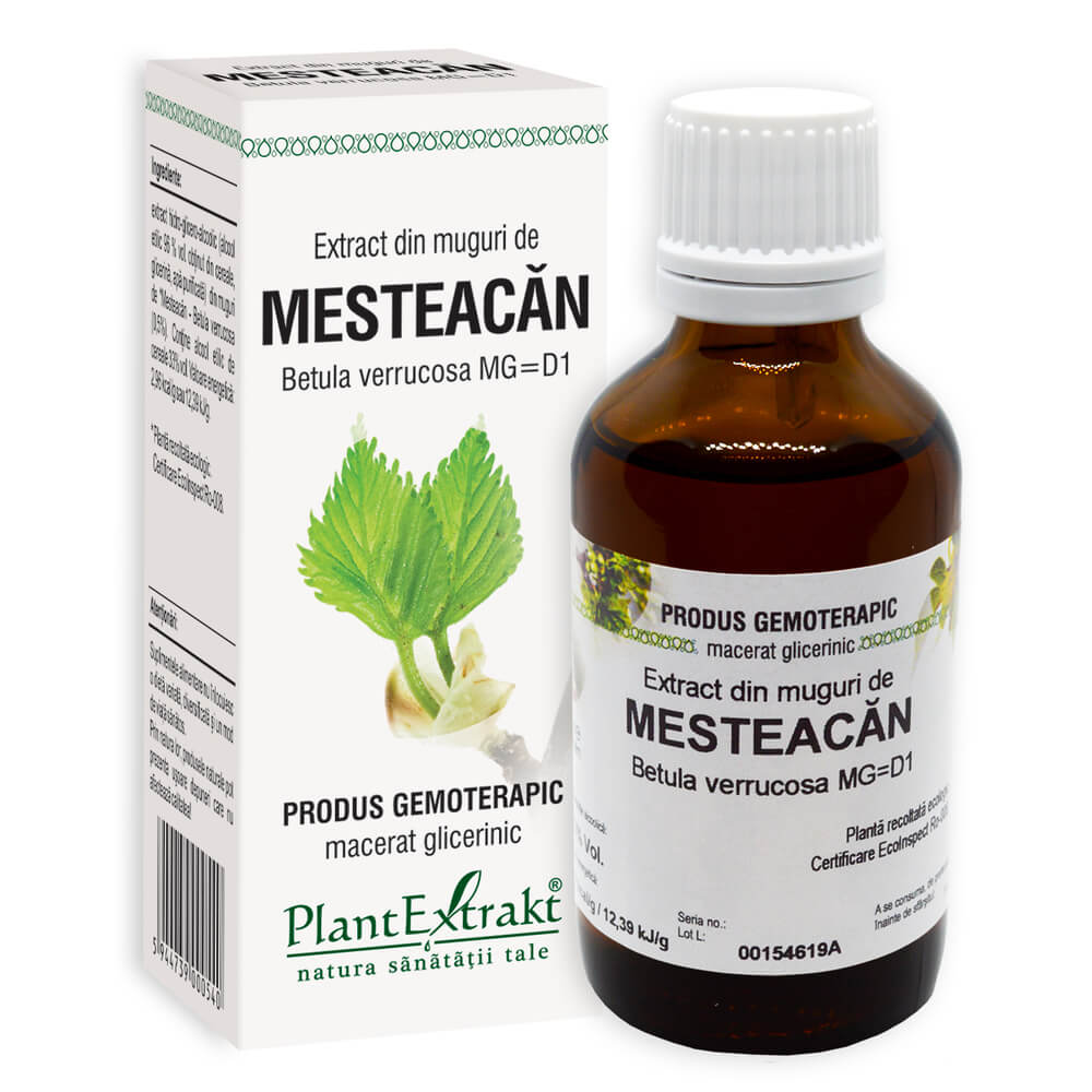 Extract din muguri de Mesteacan, 50 ml, Plant Extrakt