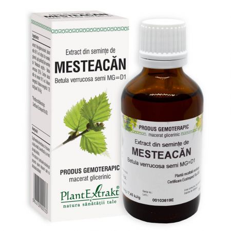 Extract din seminte de Mesteacan, 50 ml - Plant Extrakt