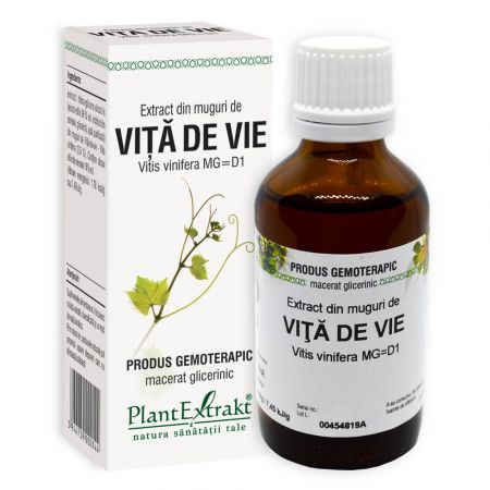 Extract din muguri de Vita de Vie, 50 ml - Plant Extrakt