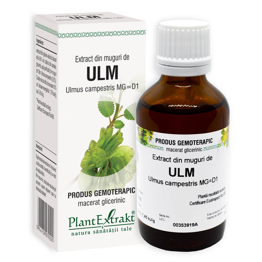 Extract din muguri de Ulm, 50 ml, Plant Extrakt
