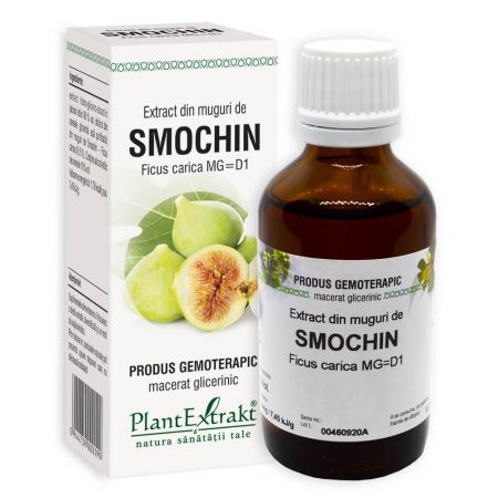 Extract din muguri de Smochin, 50 ml - Plant Extrakt