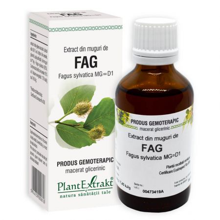 Extract din muguri de Fag, 50 ml - Plant Extrakt