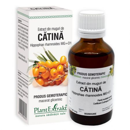 Extract din muguri de Catina, 50 ml - Plant Extrakt