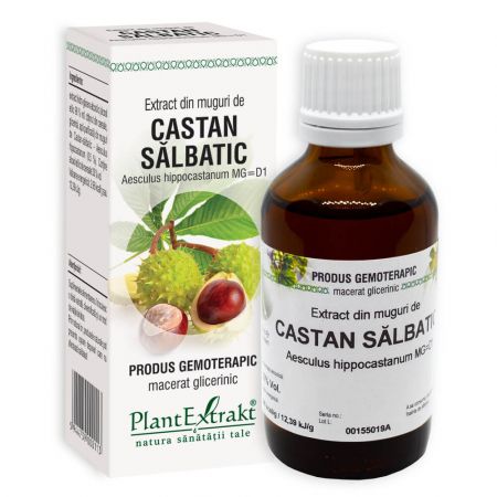 Extract din muguri de Castan salbatic, 50 ml - Plant Extrakt