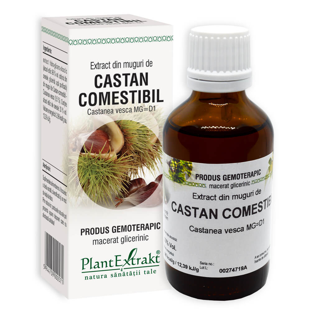 Extract din muguri de Castan comestibil, 50 ml, Plant Extrakt