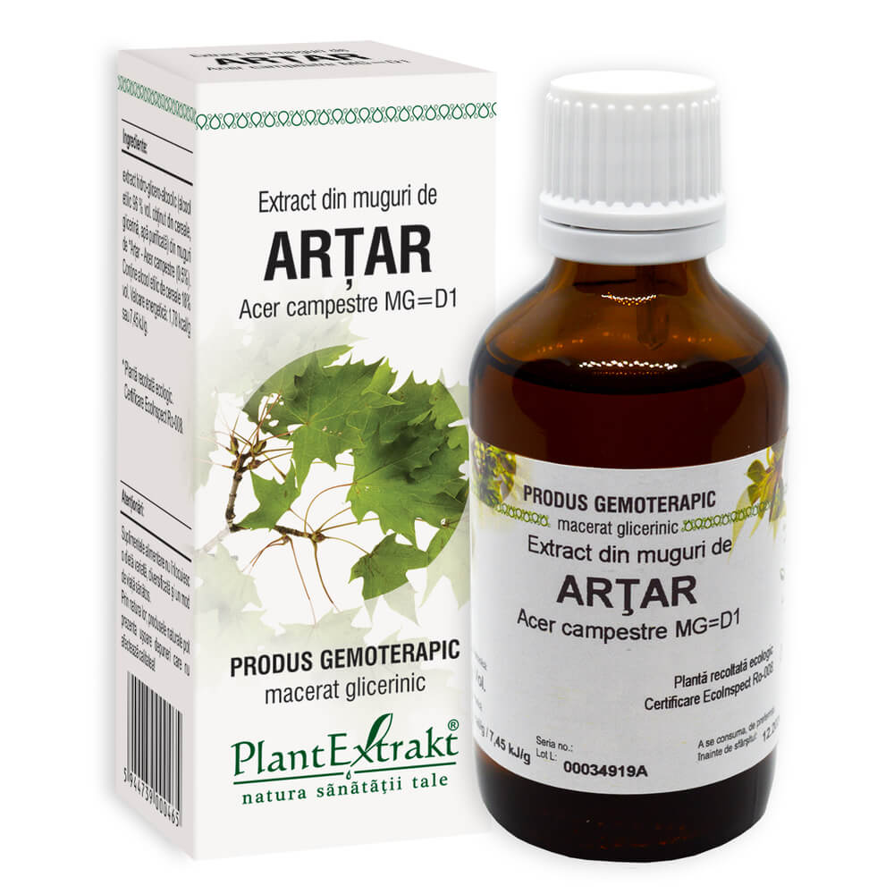 Extract din muguri de Artar, 50 ml, Plant Extrakt