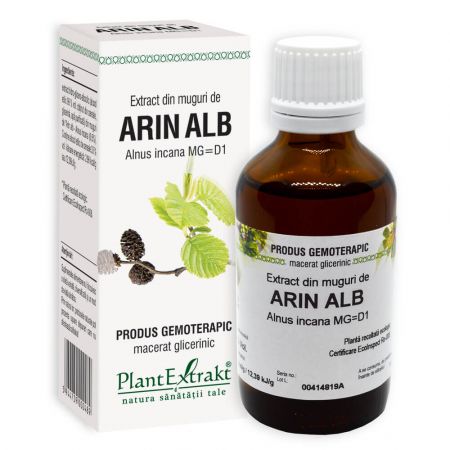 Extract din muguri de Arin Alb, 50 ml - Plant Extrakt