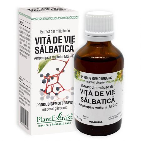 Extract din mladite de Vita de Vie Salbatica, 50 ml - Plant Extrakt