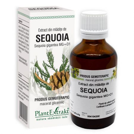 Extract din mladite de Sequoia, 50 ml - Plant Extrakt