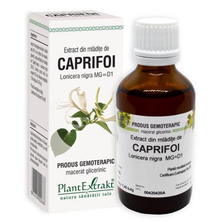 Extract din mladite de Caprifoi, 50 ml - Plant Extrakt