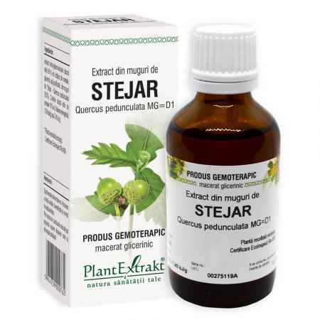Extract din muguri de Stejar, 50 ml - Plant Extrakt