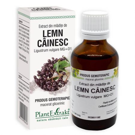 Extract din mladite de Lemn Cainesc, 50 ml - Plant Extrakt