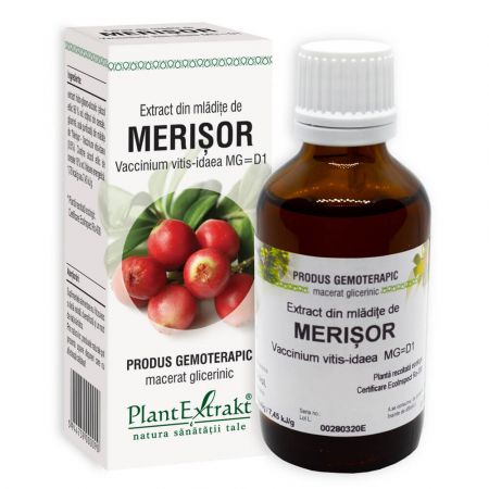 Extract din mladite de Merisor, 50 ml - Plant Extrakt