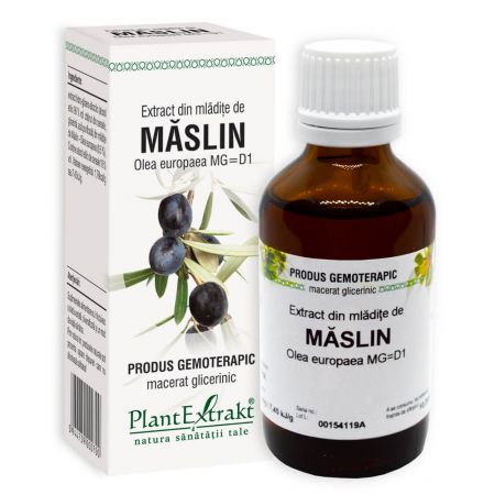 Extract din mladite de Maslin, 50 ml - Plant Extrakt