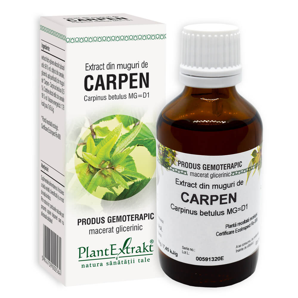 Extract din muguri de Carpen, 50 ml, Plant Extrakt