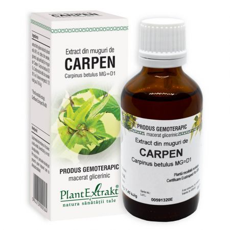 Extract din muguri de Carpen, 50 ml - Plant Extrakt