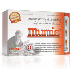 Extract purificat de rasina Mumie, 60 capsule, Damar General Trading