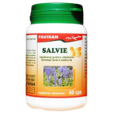 Salvie, 40 capsule - Favisan