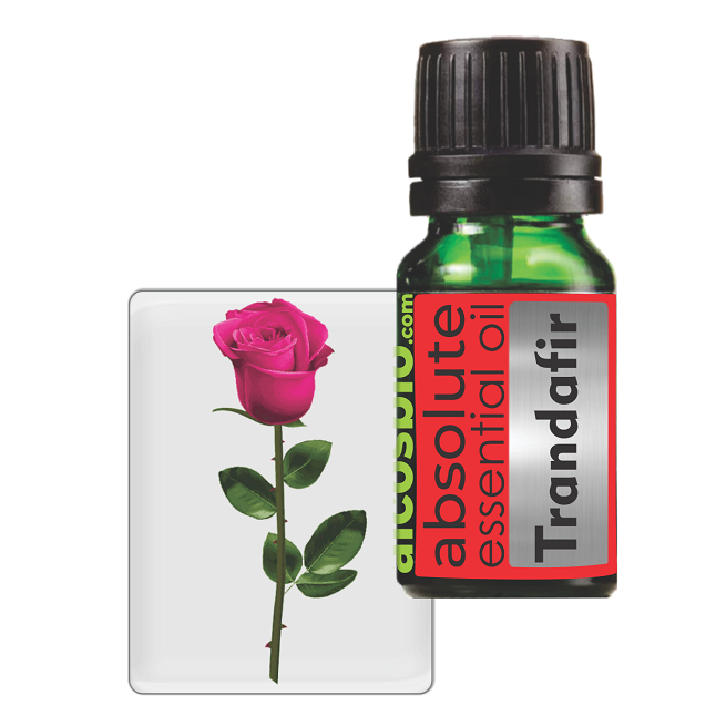 Ulei esential Absolut Trandafir, 5 ml, Alcos Bioprod