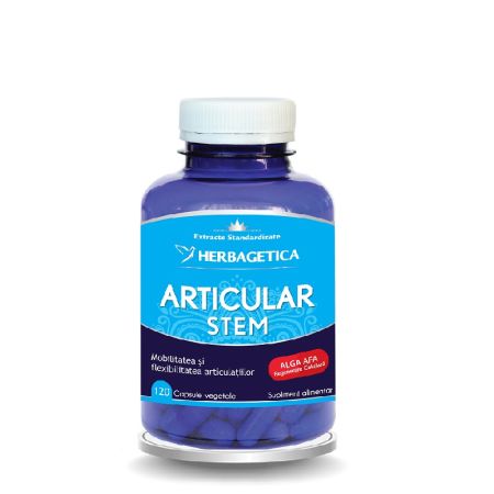 Articular Stem, 120 capsule - Herbagetica