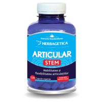 articular-stem-120-capsule-herbagetica-320.jpg